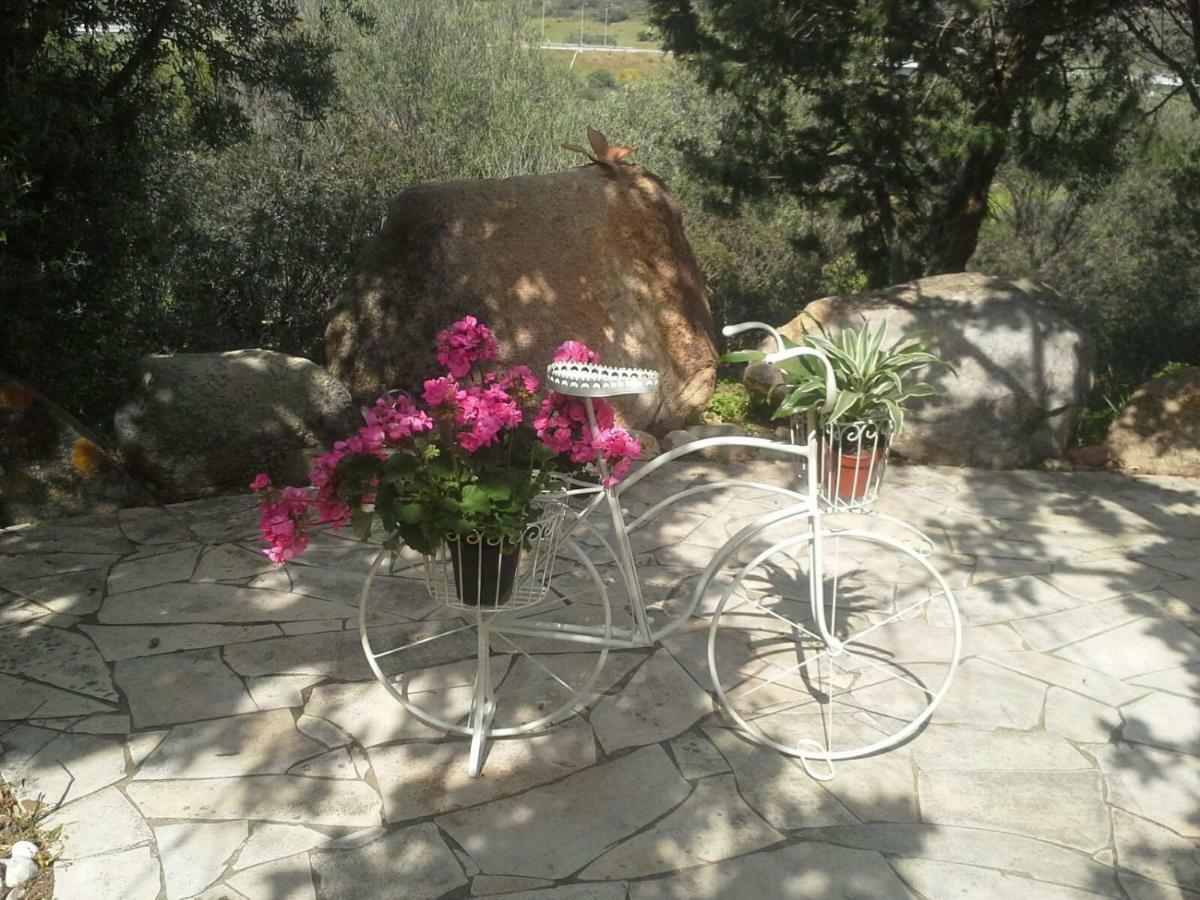 Villa Desideria B&B カピターナ エクステリア 写真